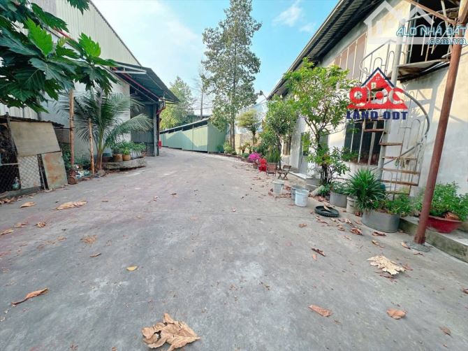 XT525 Cho thuê kho 1000m2 gầb KCN Amata Biên Hoà ĐN Giá siêu rẻ - 4