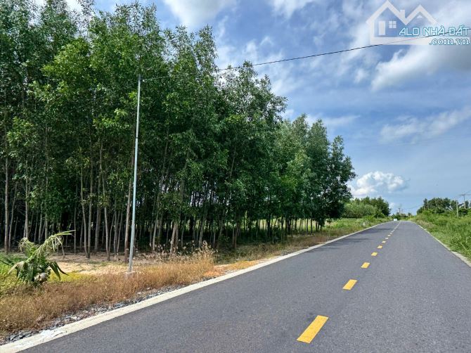 cần bán đất diện tích 3.293 m², mặt tiền Lập Định Suối Môn Cam An Bắc giá 16.5 tỷ - 4