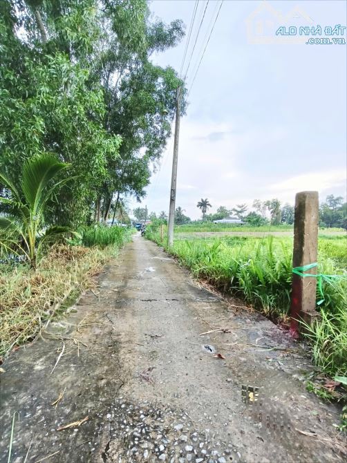 ✅ Bán 544m2 đất vườn đường 3 gác thuộc Lợi Bình Nhơn , TP Tân An _ DT : 9 x 55 nở hậu 10.1 - 4