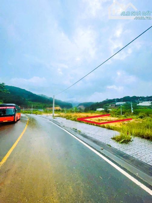 Bán lô đất tại khu 5B An Sơn LÔ ĐẤT NHỎ-VIEW RỪN THÔNG XỊN SÒ - 4