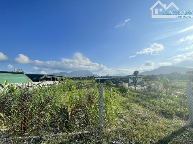 Cần bán 2000m đất nông nghiệp Cam Hiệp Nam, Cam Lâm, Khánh Hòa QH đất ở, giá 10 tỷ - 5
