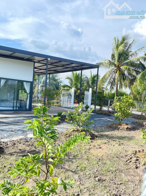 Chủ gửi bán nhà vườn 500m2. Long an giá rẽ - 5