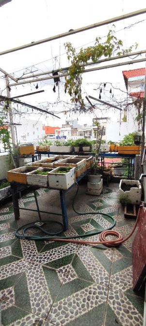 🏡Đường số 4, BHHB Bình Tân. DT 3,5 × 12, 3 tầng. Giá 3,85 tỷ TL. - 5