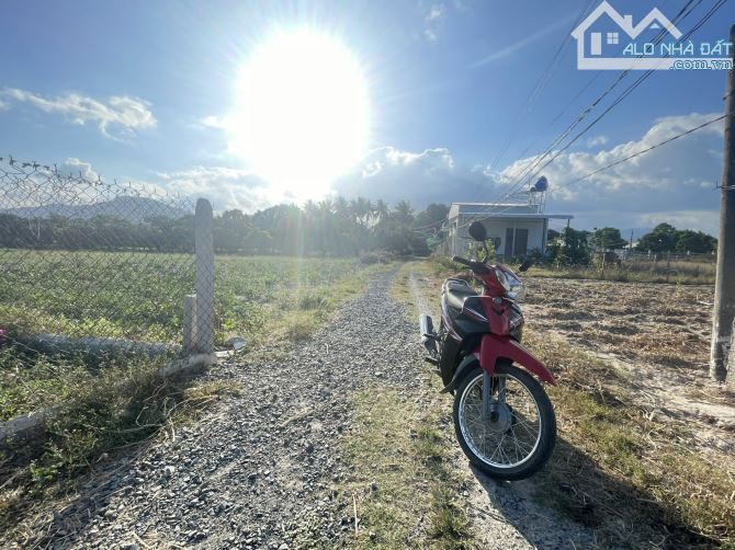 Cần bán 2000m đất nông nghiệp Cam Hiệp Nam, Cam Lâm, Khánh Hòa QH đất ở, giá 10 tỷ - 6