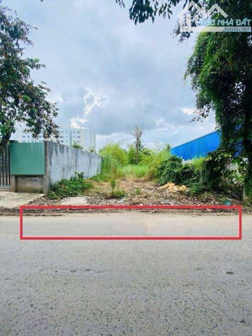 Bán đất 361 m2 mặt tiền đường Lê Hồng Nhi - 6