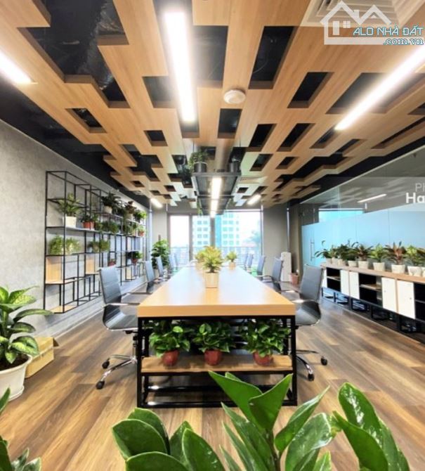 259.x Tỷ/ 12 Tầng/22 M tiền/242 m2 Tòa Văn Phòng.Mặt Phố Đống Đa - 6