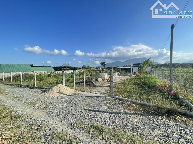 Cần bán 2000m đất nông nghiệp Cam Hiệp Nam, Cam Lâm, Khánh Hòa QH đất ở, giá 10 tỷ - 7