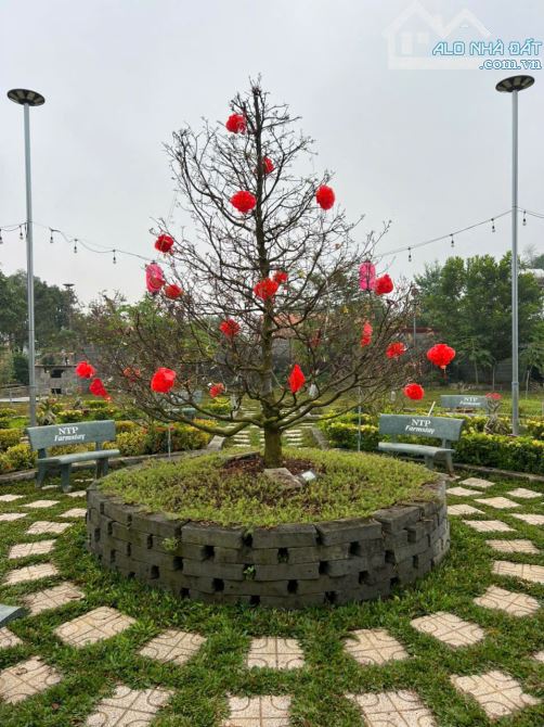 Bán 3500m2 khu nghỉ dưỡng view sông Đồng Nai, Bình Lợi,Vĩnh Cữu. SHR. Giá 13,5 tỷ. - 7