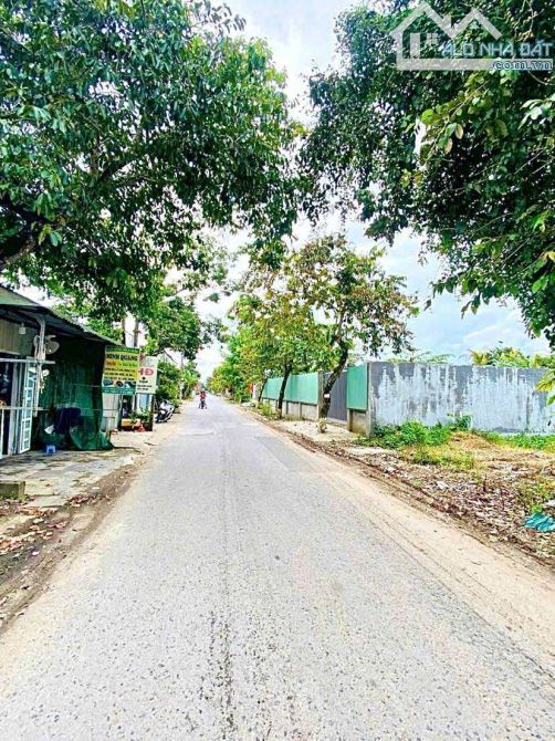 Bán đất 361 m2 mặt tiền đường Lê Hồng Nhi - 7