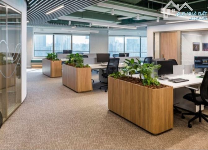 259.x Tỷ/ 12 Tầng/22 M tiền/242 m2 Tòa Văn Phòng.Mặt Phố Đống Đa - 7
