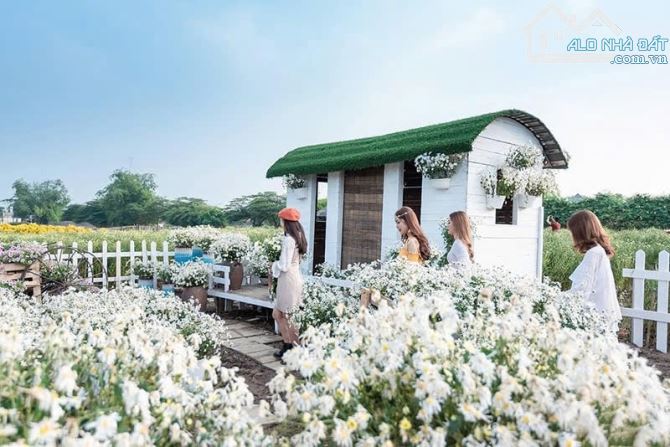 BÁN NHÀ QUẬN LONG BIÊN – PHƯỜNG SÀI ĐỒNG- PHÂN LÔ QUÂN ĐỘI- DIỆN TÍCH RỘNG- GIÁ MỀM - 8
