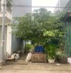 BÁN NHANH – ĐẤT TRŨNG LAI XÁ - HOÀI ĐỨC - 46,7m2