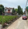 Tài chính 2,x tỷ đồng sở hữu ngay 52,2m2 đất ở sát đấu giá Hoàng Trạch - Mễ Sở - Văn Giang