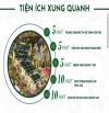 BÁN ĐẤT PHÂN LÔ LIỀN KỀ, SƠN ĐÔNG, LÔ GÓC 100M2, MT 6M, 4 TỶ.