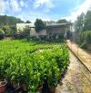 Bán nhà sân vườn rộng có view khu dân cư Hiệp An, cách sân bay Liên Khương 10p