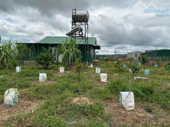 🥰 Bán nhà vườn 2820m2 Tại Đạ Đờn, Lâm Hà Lâm Đồng.