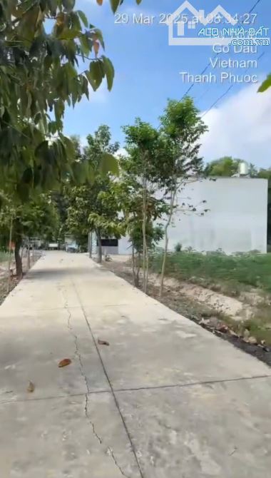 Bán đất đường xe hơi Pháo Binh, Thanh Phước, Gò Dầu, Tây Ninh
