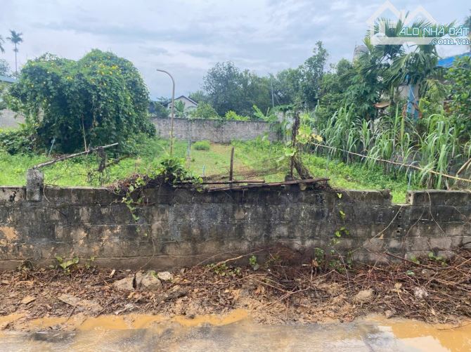 Bán Đất tại thôn Đông Tiến xã Nam Phương Tiến huyện Chương Mỹ Hà Nội