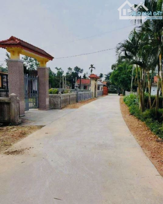 🌿 Cang Cư Nam – Phong Hòa | Gần Trường Tiểu Học – Lô Đất 229m2 Giá Chỉ 4xx triệu