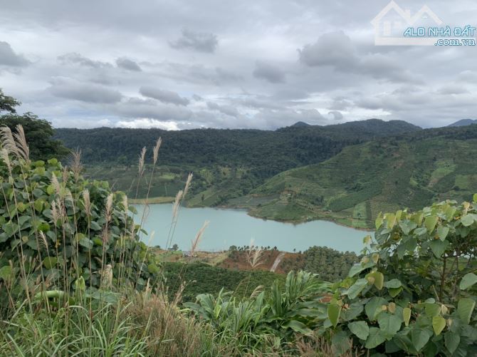 CHÍNH CHỦ BÁN 1340M ĐẤT VIEW HỒ NGỌC LỘC TÂN GIÁ CHỈ : 1 TỶ 100 TRIỆU