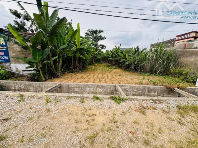 350m đất Thổ cư bám Trục Tỉnh lộ gần Khu Công Nghiệp giá  2ty4