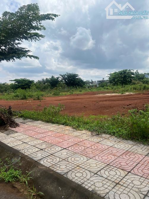 ĐẤT NỀN GIÁ RẺ – BÙ ĐĂNG, BÌNH PHƯỚC