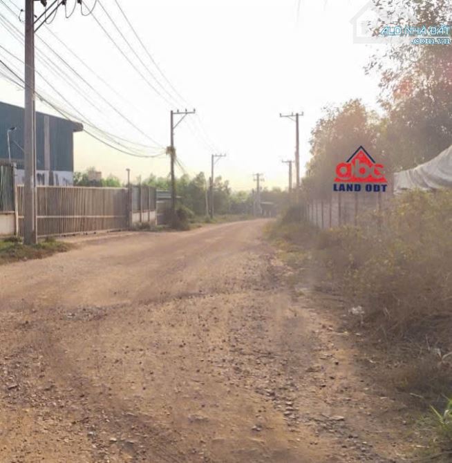 D175 Bán Quỹ Đất phù hợp Xây Dựng nhà xưởng với diện tích : 35.000m2. thuộc xã Tân An - Vĩ