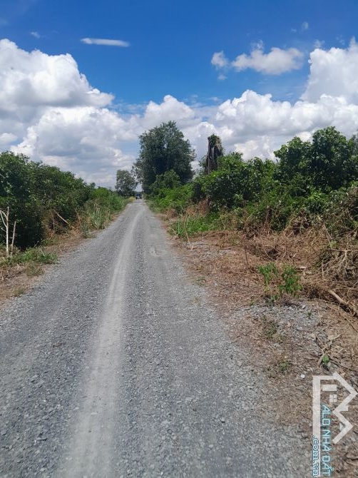 2643m2 vườn 2 mặt tiền kênh 3 lớn .tân thành Thủ Thừa 570tr/1000 giá rẻ nhất thị trường