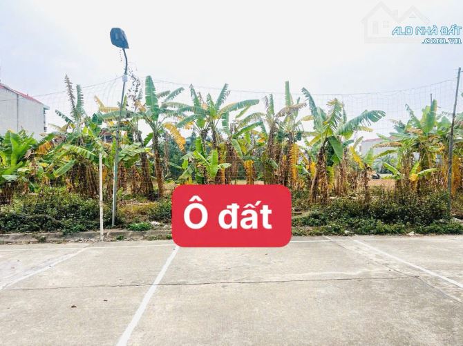 Bán U19 May Mặc, Kim Long, Tam Dương  Đường quy hoạch 13,5m