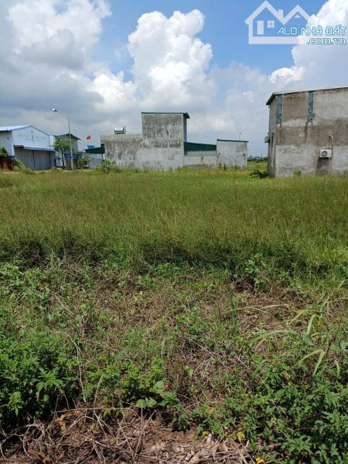 Bán đất - Vĩnh Gia,Phú Xuân,Nở Hậu,đầu tư sinh lời,giá Rẻ,gần chợ,DT:57m,Giá:1,65 tỉ