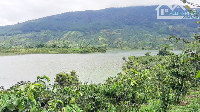 Đất hồ Kala, bán 6.7 sào đất giáp mặt nước, không bị trừ ranh hồ, cà phê tốt, đường ô tô.