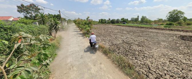 Bán đất vườn đường T11, Tân Quý Tây, Bình Chánh