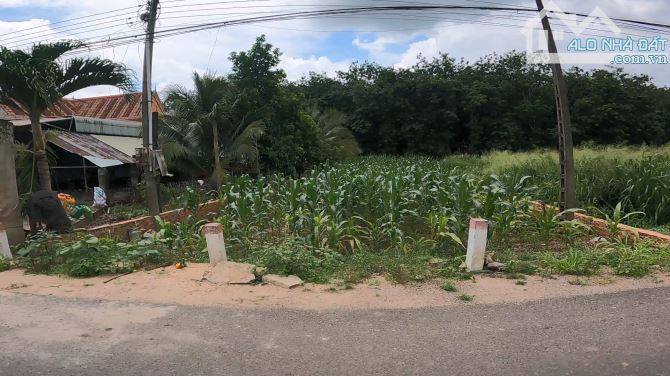 Kẹt tiền bán gấp lô Đất nền Bình Dương, sát chợ an bình cách chỉ 20m - 3