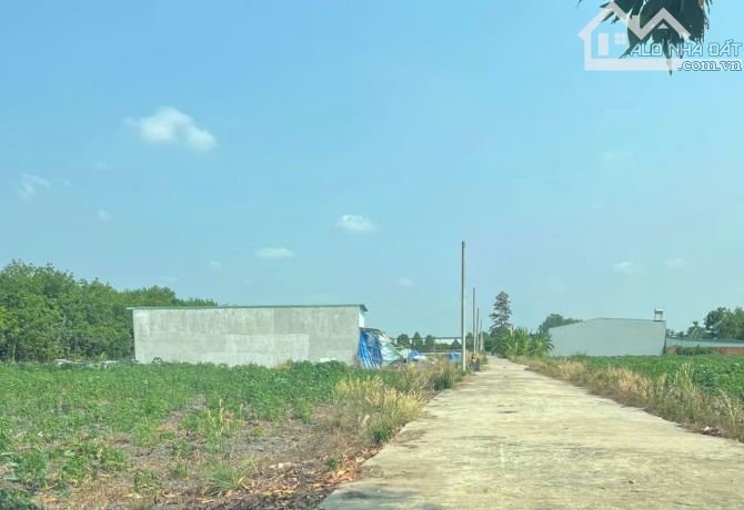 Bán 1  lô bầu bàng quá đẹp để ở và đầu tư
