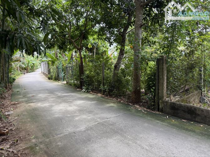Bán Đất Khóm Thanh Tiến,Phường Mỹ trà, đồng tháp