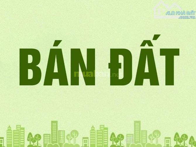 Bán Cặp Đất MT Kinh Doanh đường 10m5 Bùi Tấn Diên, 210m2, Giá 9.5 tỷ TL