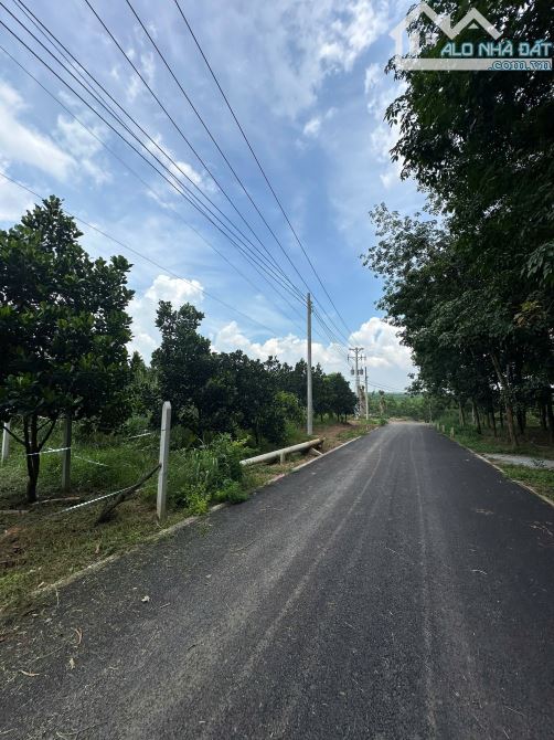 Lô đất trồng mít tại An Long - Hồ Chí Minh đường nhựa cách dh507 200m. 540m2 giá 2tr2/m2
