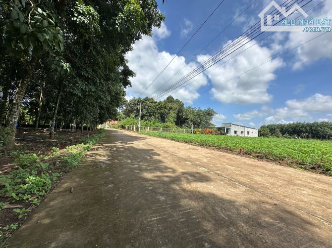 Bán lô đất 342m2 - 100m2 thổ cư An Linh - Phú Giáo giá 780tr bao sổ