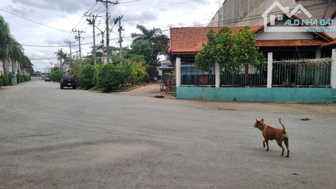 Cho thuê kho xưởng giá rẻ 3000m2 ở Tân Tạo, Bình Tân. Có PCCC, đường xe container. Gía 80k