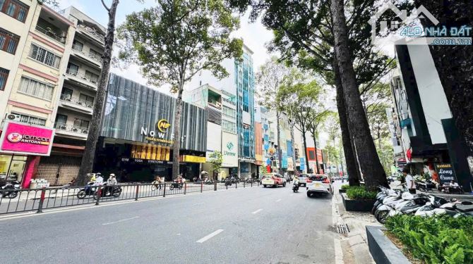 Mặt Tiền 3 Tháng 2, P.Hoà Hưng, Quận 10 – Đất Trống 7.4x33 CN 220m² – 115 Tỷ TL