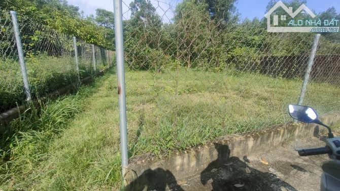 🔥 BÁN ĐẤT 1000M – 160M THỔ CƯ – GIÁ: 7 TỈ 5 – AN PHƯỚC – LONG THÀNH 🔥