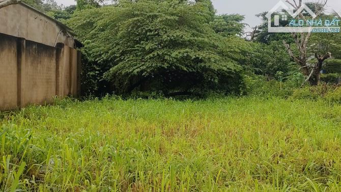 🏡 BÁN ĐẤT 1 SÀO 1.011M – 220M THỔ CƯ – GIÁ: 9 TỈ 2 - 1 XOẸT ĐƯỜNG 769 - LỘC AN, LONG THÀN
