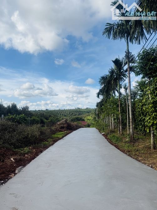 Đất Thổ cư đường 26A Đạt Lý 45x11m view cực đẹp 1,85 tỷ (tl)