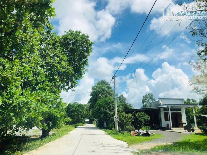 🌟 SIÊU PHẨM gần 1100m2 ĐẤT PHƯỚC HẢI – GIÁ CHỈ 4 TỶ 🌟  📍 Vị trí: Khu biệt thự Phan Gia