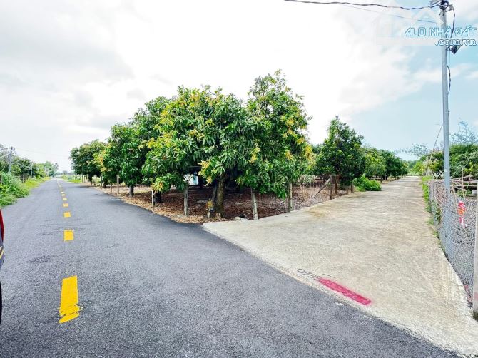 ✅LÔ ĐẤT VƯỜN THỊ TRẤN PHƯỚC HẢI - VIEW NÚI SIÊU ĐẸP   💥LÔ GÓC 1439M2 - NGANG 40x36M  - qu