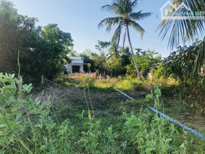 bán 1.200m2 view sông Tam Kỳ có 200m2 đất ở