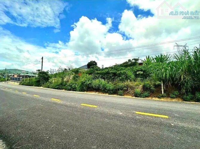 CHỦ HẠ GIÁ BÁN GẤP! Bán đất mặt tiền Nguyễn Thiện Thuật, Lộc Châu phường 3 Bảo Lộc