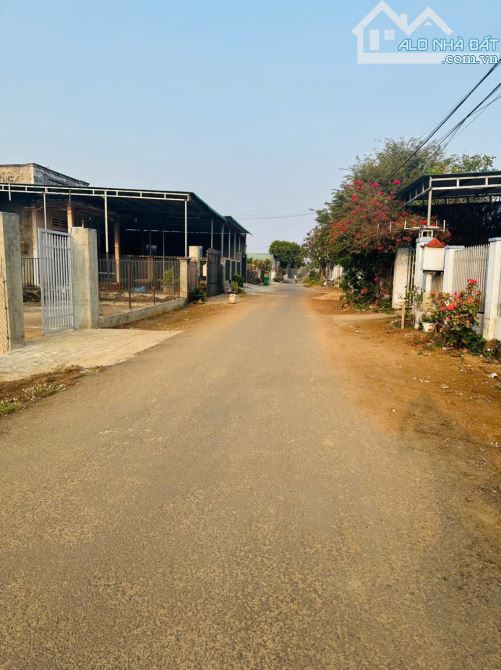 Cần Bán Lô Đất  Xã Hoà Khánh-Gần chợ Đoàn Kết