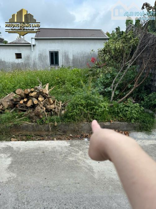 BÁN ĐẤT NGHI LIÊN – PHƯỜNG VINH HƯNG 65,3m2 TÂY BẮC ĐƯỜNG 5m - 1