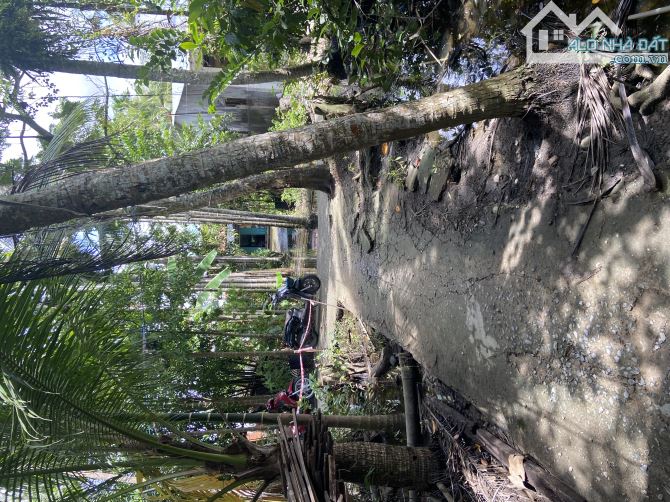 Chủ gửi bán nền Hưng Phú – Cần Thơ  Vị trí: Đường vào Tịnh Xá Ngọc Thuận, gần Chợ Xóm Chài - 1